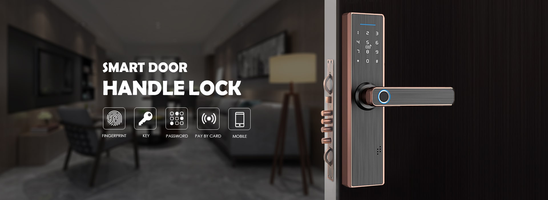Tuya WiFi Smart Door Locks