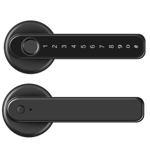 B19 Tuya Bluetooth Smart Deadbolt Lock