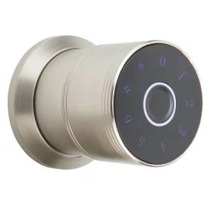 R8 Tuya WiFi Smart Door Locks