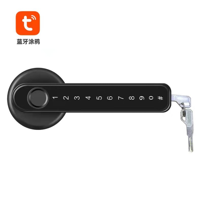 B19 Tuya Bluetooth Smart Deadbolt Lock