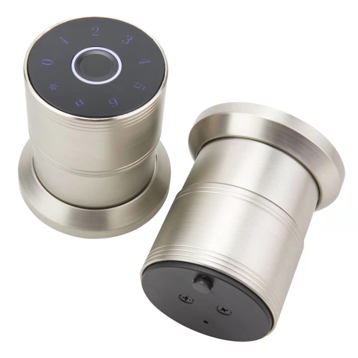 R8 Tuya WiFi Smart Door Locks