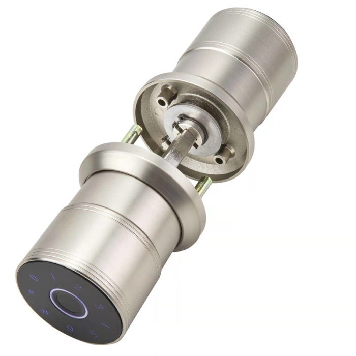 R8 Tuya WiFi Smart Door Locks