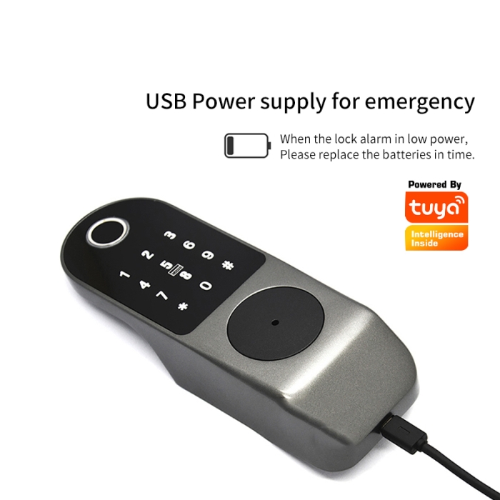 W1 Tuya WiFi Smart Rim Lock