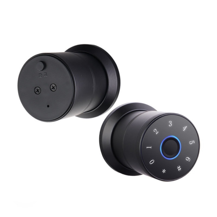 R8 Tuya WiFi Smart Door Locks
